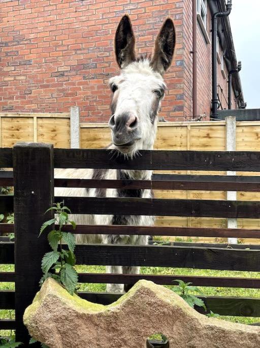 4 Bedroom - Sleep 9 Home In Cheadle Staffordshire - Alton Towers Polar Express Dimmingsdale Peak District Trentham Gardens Water World 外观 照片