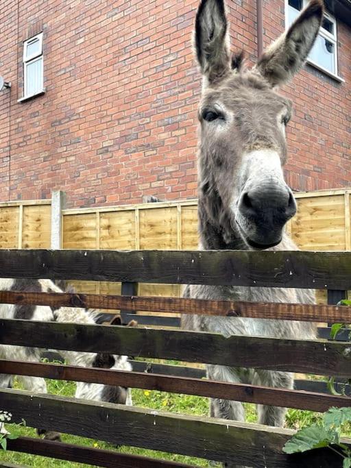 4 Bedroom - Sleep 9 Home In Cheadle Staffordshire - Alton Towers Polar Express Dimmingsdale Peak District Trentham Gardens Water World 外观 照片